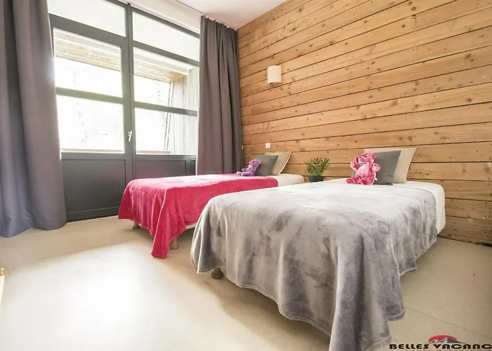 Apartment Cozy Avec Sauna, Piscine Et Proche Des Thermes, 4 Pers. A Saint-lary Village - Fr-1-296-328 *